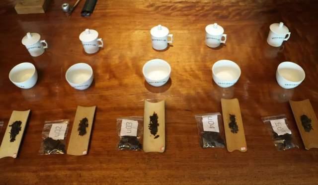 普洱茶试茶方法详解，如何判断茶叶陈化潜力