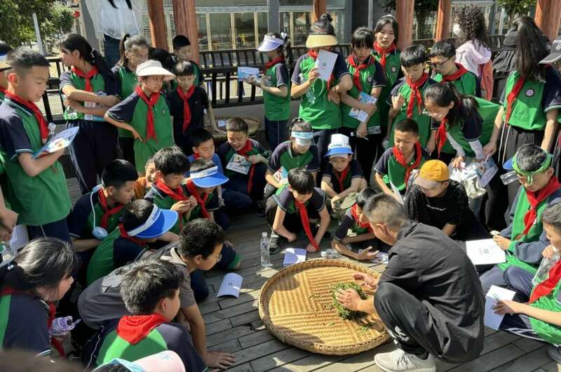 雨城区合江村：春茶采摘拉开帷幕 万亩茶园即将喜迎丰收