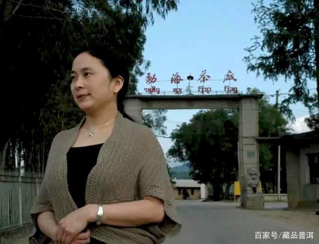 2004年班章野生茶深度解析，前勐海茶厂厂长监制的经典中期茶品鉴