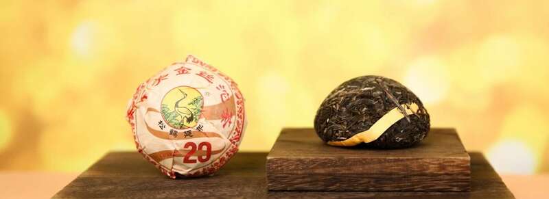 金丝沱茶二十年经典传承,布朗古树料成就茶中传奇 下关金丝沱茶 二十年经典再现,一缕金丝,万重茶香!