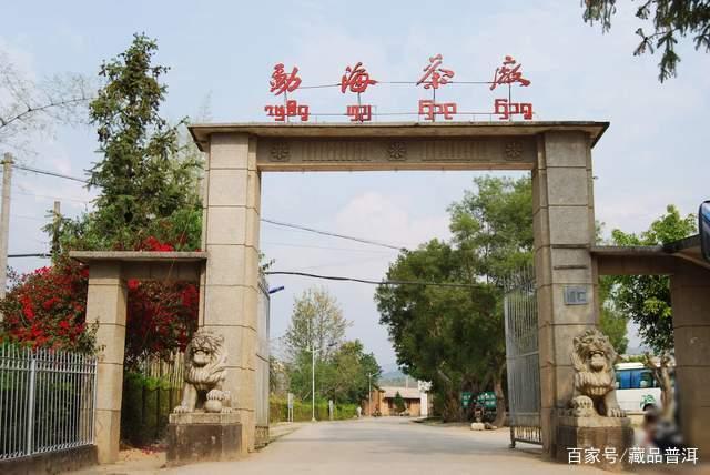 勐海茶厂老茶鉴别技巧,教你识别真假普洱茶 勐海茶厂老茶鉴别技巧,教你识别真假普洱茶