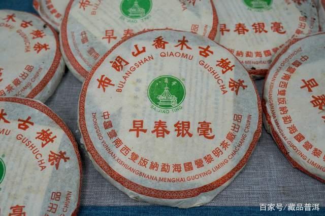 八角亭2005年早春银毫501批真假辨别及品鉴攻略