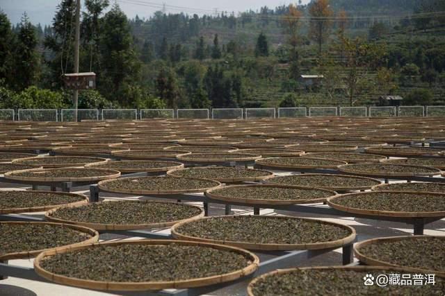 10年以上普洱茶收藏选购指南：底子工艺品牌三要素