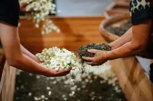 福州茉莉花茶：列作人间第一香