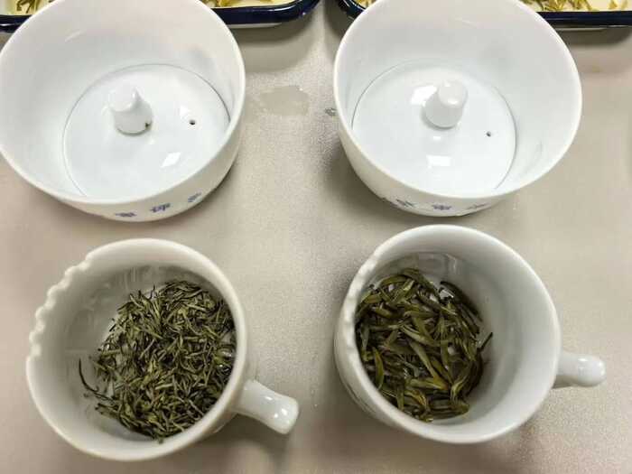 一文把新茶饮基底茶拼配技术说明白
