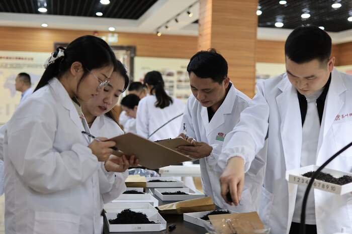 一文把新茶饮基底茶拼配技术说明白