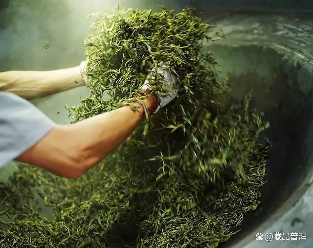 我的普洱存茶观：在哪买茶比较好？怎么构建理想存茶环境？纯干货