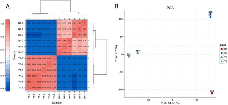 川农大茶学系：转录组学揭示打顶处理对茶树幼苗生长的影响