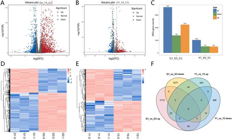 川农大茶学系：转录组学揭示打顶处理对茶树幼苗生长的影响