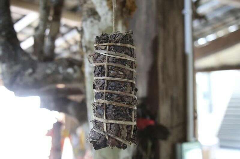 世界的普洱·中国的茶——普洱景迈山茶 非遗技艺制茶 赋能茶产业发展 世界的普洱·中国的茶——普洱景迈山茶 非遗技艺制茶 赋能茶产业发展