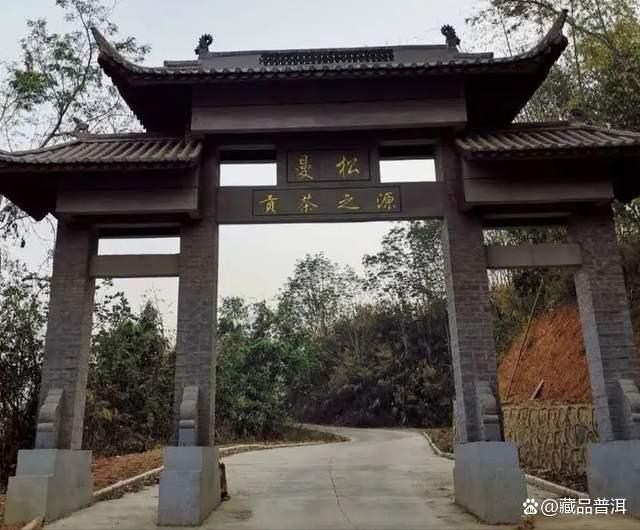 曼松茶：普洱茶界新贵，有钱都买不到的茶中珍品！