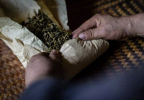 院士团队说2024年茶叶加工理论与技术研究进展（二）