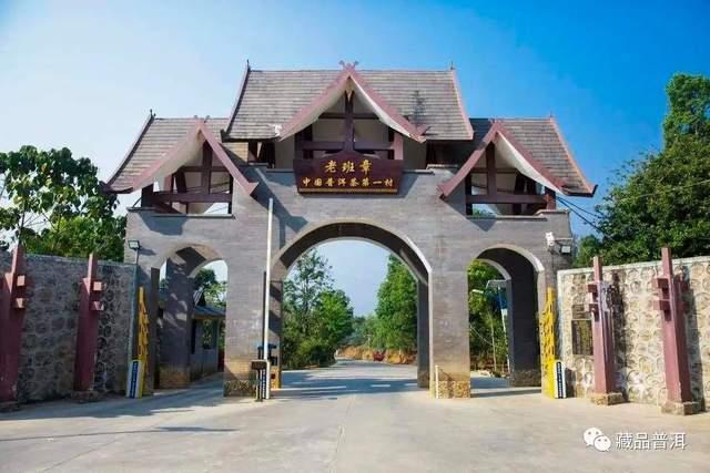 2000年班章大白菜特二号熟饼深度解析，熟茶之王的传奇故事