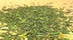 九一六茶园：红韵茶香新发展