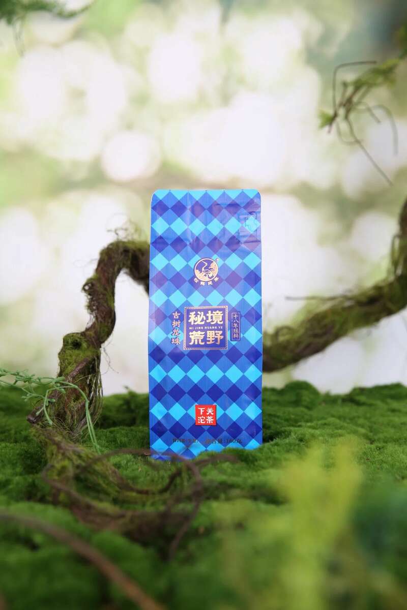 下关2025 秘境荒野 喝18年陈野生古树茶，享山水之乐