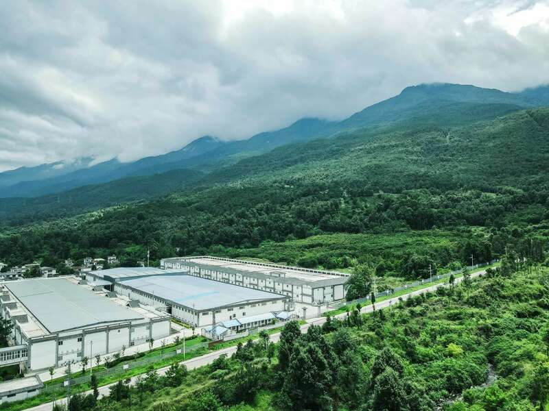 下关2025 秘境荒野 喝18年陈野生古树茶，享山水之乐