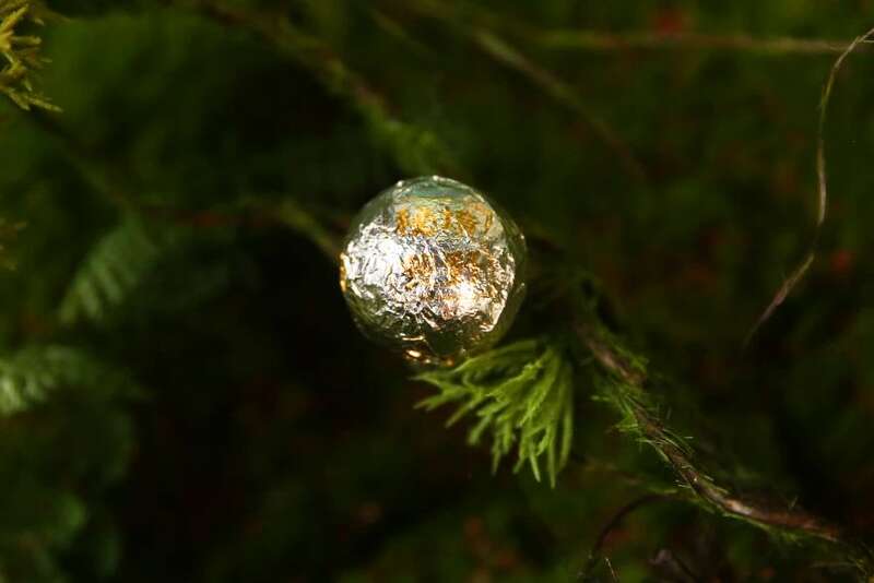 下关2025 秘境荒野 喝18年陈野生古树茶，享山水之乐