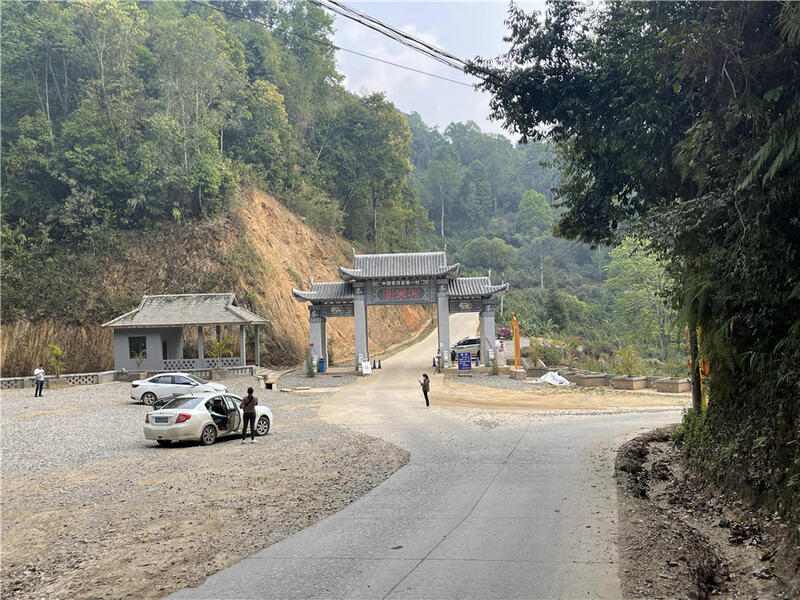 临沧茶旅融合升级路径:从茶尊古树到主题小镇建设策略 高舜礼:打造云南茶旅融合的升级版