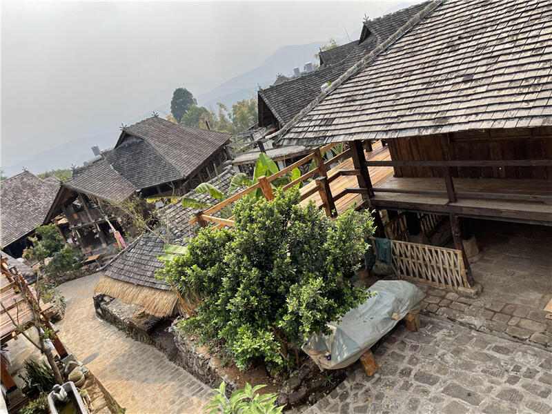 临沧茶旅融合升级路径:从茶尊古树到主题小镇建设策略 高舜礼:打造云南茶旅融合的升级版