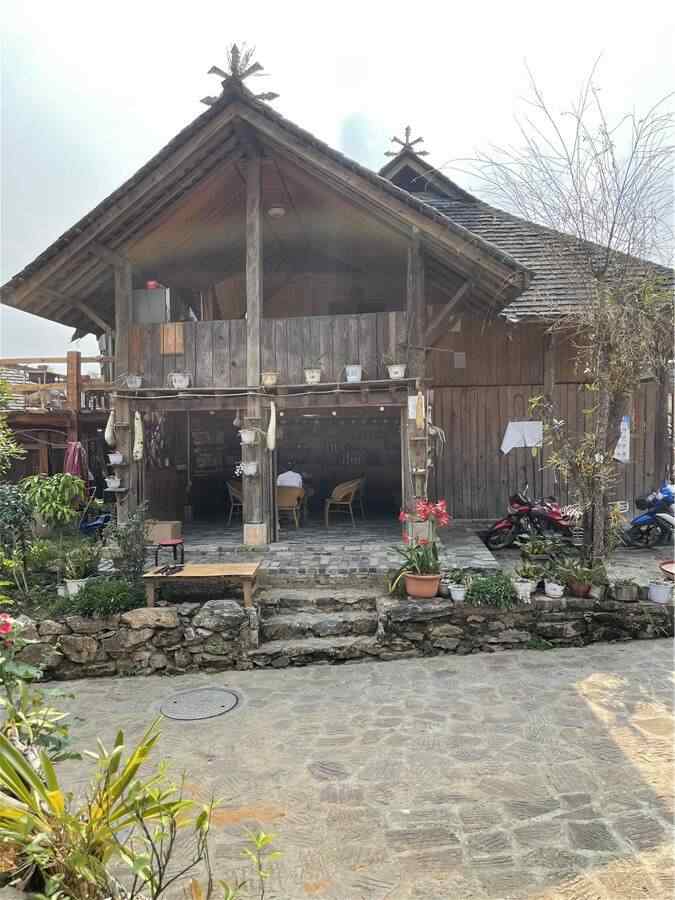 临沧茶旅融合升级路径:从茶尊古树到主题小镇建设策略 高舜礼:打造云南茶旅融合的升级版