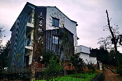 浙江新昌下岩贝村:云上茶乡的乡村振兴之路 以“大佛龙井”品牌为背书 创建“云上茶乡,灵秀东茗”的乡村发展生境