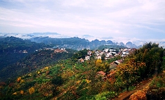 浙江新昌下岩贝村:云上茶乡的乡村振兴之路 以“大佛龙井”品牌为背书 创建“云上茶乡,灵秀东茗”的乡村发展生境