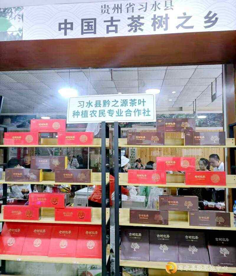 习水：小茶叶撑起大产业