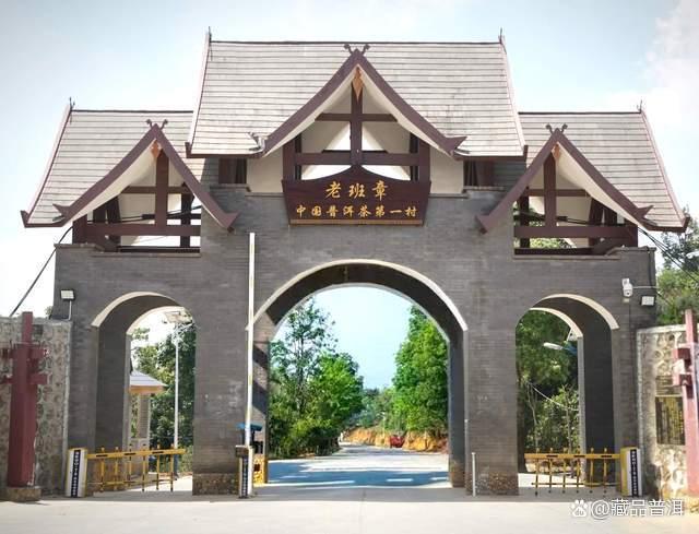 陈升号老班章值不值得收藏？2020年小饼潜力解析