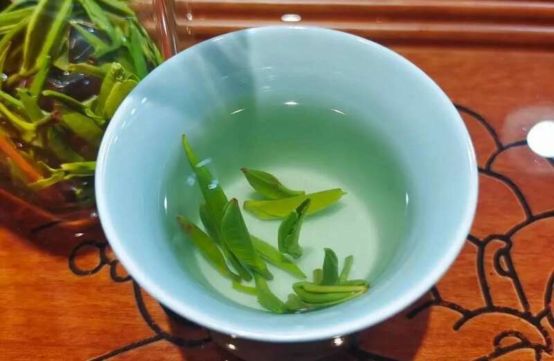 院士团队说2024年茶叶加工理论与技术研究进展(一) 院士团队说2024年茶叶加工理论与技术研究进展(一)