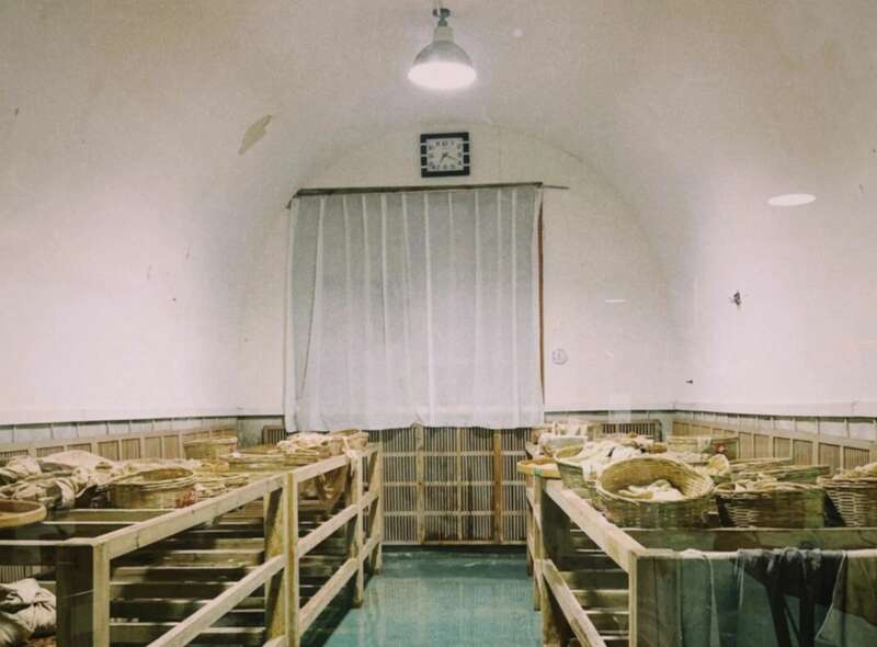 院士团队说2024年茶叶加工理论与技术研究进展(一) 院士团队说2024年茶叶加工理论与技术研究进展(一)
