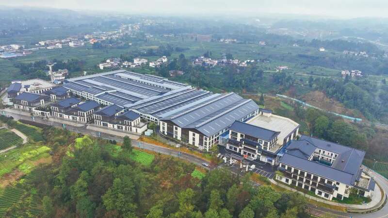 名山首条新茶饮原料加工生产线即将投产 名山首条新茶饮原料加工生产线即将投产