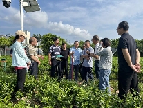 横州市:学习运用“千万工程”经验推动茉莉花产业高质量发展 brand_alt_mark