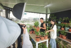 横州茉莉花产业如何借“千万工程”经验打造乡村振兴样本 brand_alt_mark