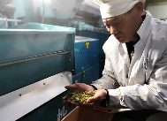 贵州普安春茶采收忙 5.14万亩早春茶园开启丰收季 brand_alt_mark
