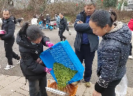 贵州普安春茶采收忙 5.14万亩早春茶园开启丰收季 brand_alt_mark