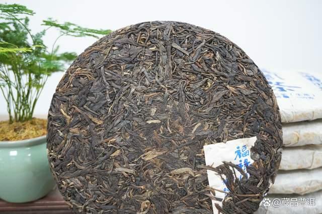 邓时海解读普洱茶韵失落危机及传统工艺传承之道