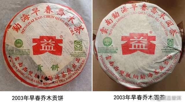 大益2003年勐海早春乔木贡饼深度解析，小白菜生态有机圆茶品鉴