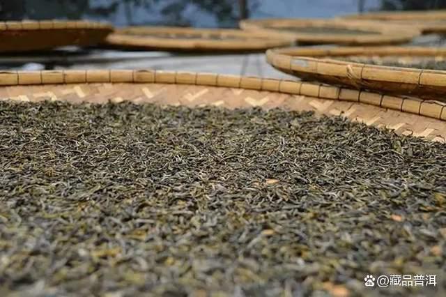 普洱茶基础知识详解：生茶熟茶区别与正确存放方法