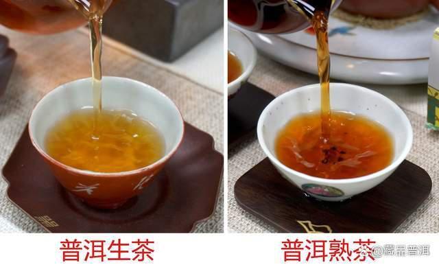 普洱茶基础知识详解：生茶熟茶区别与正确存放方法