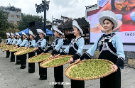 贵州贞丰早春茶市开市 十佳茶企获表彰推动产业高质量发展 brand_alt_mark
