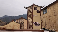茶产业助力乡村振兴 小茶叶成就富民大产业 brand_alt_mark
