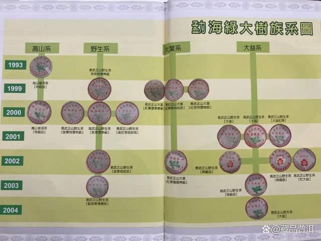 绿大树家族前辈，1992年高山绿大树，详解它的传奇诞生！