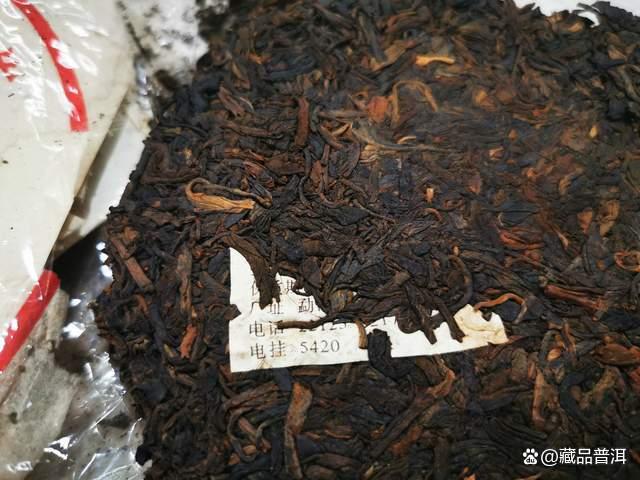 绿大树家族前辈，1992年高山绿大树，详解它的传奇诞生！