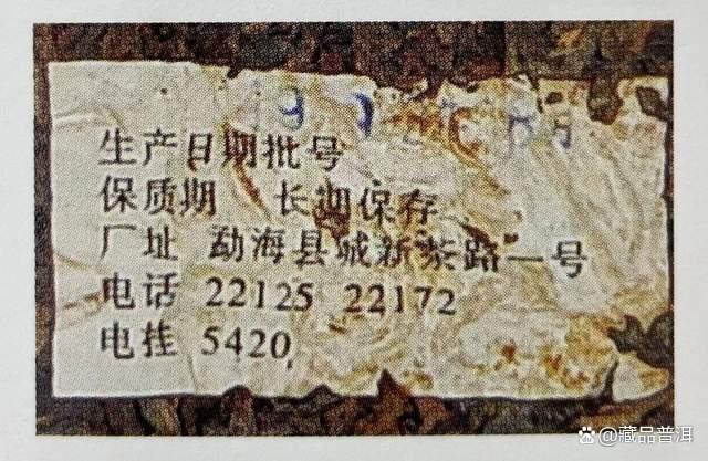 绿大树家族前辈，1992年高山绿大树，详解它的传奇诞生！
