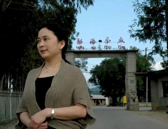 紫大益什么价格？208批紫大益7572熟饼，如何辨别真伪？专业解析