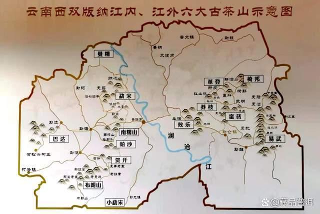 普洱茶五大地理标志产区：一山一味风味各异