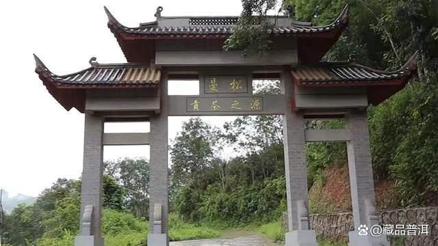 普洱茶五大地理标志产区：一山一味风味各异