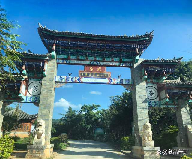 普洱茶五大地理标志产区：一山一味风味各异