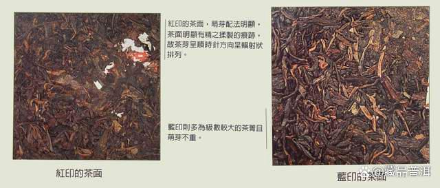普洱茶传奇：红印与蓝印的来历与区别