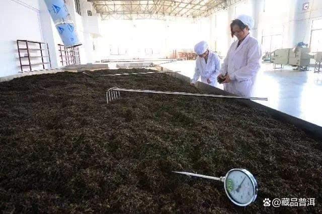 普洱熟茶口感偏薄的四大关键原因